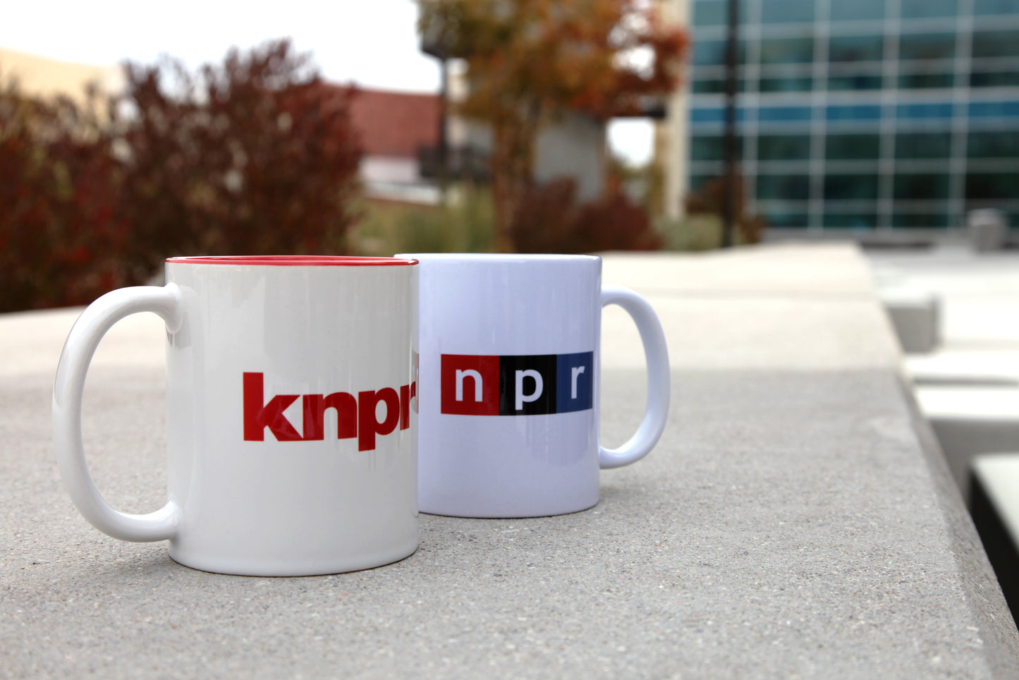 NPR Mug